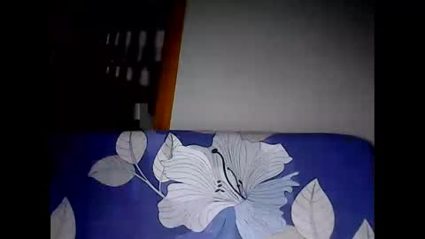 Snapshot of hottie_asianbabe chatting on February 11, 2025, 12:17 am Leen online show from February 11, 2025, 12:17 am