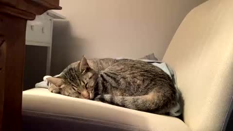 hottiewithabody101 online show from February 11, 2026, 2:44 pm