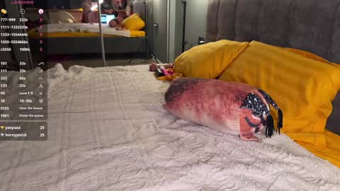 Snapshot of howtoreachorgasm chatting on December 23, 2024, 4:33 am Elizabeth online show from December 23, 2024, 4:33 am