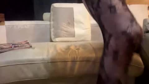 huippari online show from December 15, 2025, 11:09 pm