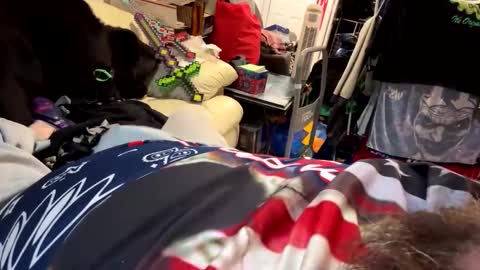 hulk1148 online show from December 1, 2024, 6:52 pm