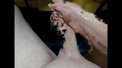 hung_mac0 online show from May 20, 2026, 2:01 pm