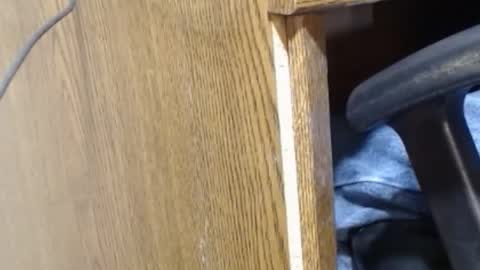 Snapshot of hungsofine chatting on December 23, 2024, 9:40 pm hungsofine online show from December 23, 2024, 9:40 pm