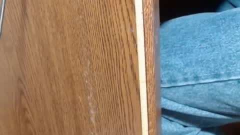 Snapshot of hungsofine chatting on January 8, 2025, 6:52 pm hungsofine online show from January 8, 2025, 6:52 pm