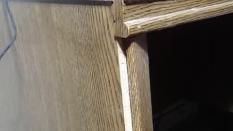 Snapshot of hungsofine chatting on February 19, 2025, 6:54 pm hungsofine online show from February 19, 2025, 6:54 pm