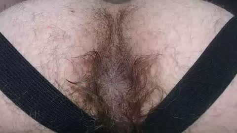 Snapshot of hunkytime chatting on July 13, 2026, 6:05 am I AM NOT A DIRECTOR I AM THE BOSS KINGDADDYSIRSTR8ALPHAMASTER online show from July 13, 2026, 6:05 am