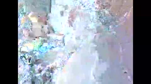 jamaeca online show from November 20, 2025, 10:48 am