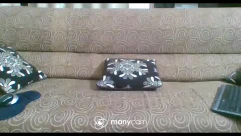 Snapshot of iam_jp084 chatting on February 21, 2025, 6:26 pm JP online show from February 21, 2025, 6:26 pm