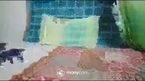 Snapshot of iam_jp084 chatting on September 27, 2025, 7:19 pm JP online show from September 27, 2025, 7:19 pm