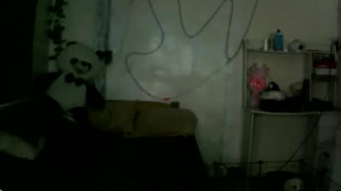 Snapshot of iamcristel chatting on April 28, 2026, 12:10 pm CHRISTIAN online show from April 28, 2026, 12:10 pm