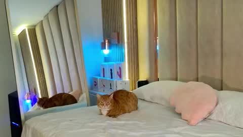 Snapshot of iamnyxy_ chatting on November 11, 2025, 9:09 am Nyxy online show from November 11, 2025, 9:09 am