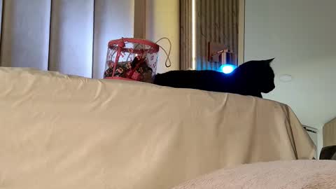 Snapshot of iamnyxy_ chatting on November 20, 2025, 10:04 am Nyxy online show from November 20, 2025, 10:04 am