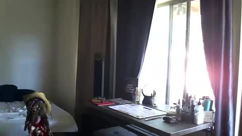 Snapshot of ibpms247 chatting on October 13, 2025, 3:45 pm PMS online show from October 13, 2025, 3:45 pm