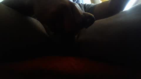 Snapshot of icecreamman6986 chatting on January 1, 2025, 8:15 pm icecreamman6986 online show from January 1, 2025, 8:15 pm