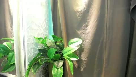 Heart online show from February 3, 2026, 6:35 pm