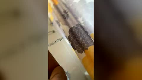 ikaikagora00 online show from March 5, 2026, 4:36 pm