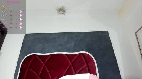 illegal_lorry online show from December 12, 2024, 10:56 am