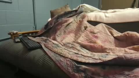 Ryan online show from October 10, 2025, 3:33 pm