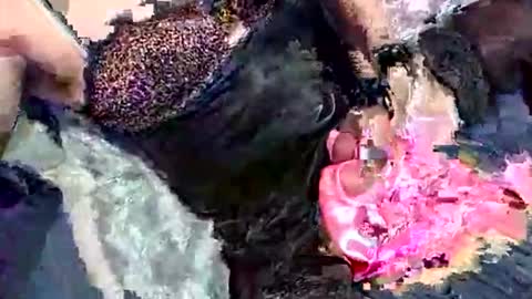 imabigolperv online show from March 2, 2026, 2:03 am