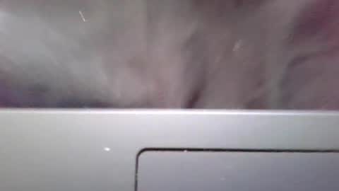 imstillstrokin online show from October 22, 2025, 7:35 pm