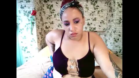 Candy cat online show from February 22, 2025, 10:51 am