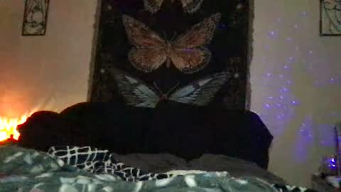 Snapshot of indigobay chatting on January 10, 2025, 12:17 am Indigo Bay online show from January 10, 2025, 12:17 am