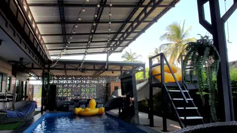 Vicki FANSLY ---   online show from January 6, 2025, 8:14 am