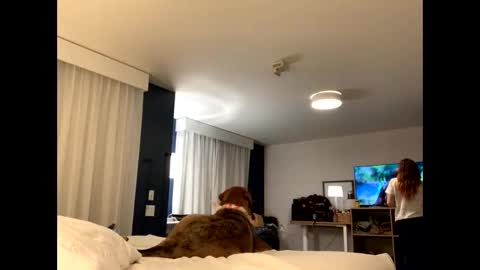 IntoTheWoodsWeGo online show from November 27, 2025, 1:51 am