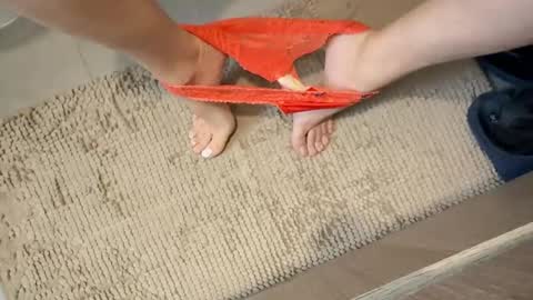 iopensusa online show from December 27, 2024, 2:22 pm