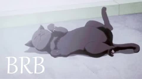 Iris Rosse online show from March 12, 2025, 12:10 am