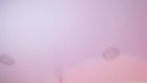 Snapshot of iris_joi chatting on February 18, 2026, 3:02 am Iirs online show from February 18, 2026, 3:02 am