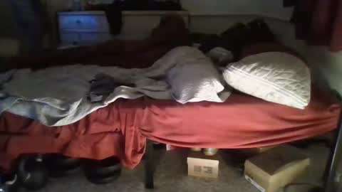 SexEngine88 online show from December 23, 2025, 5:49 am