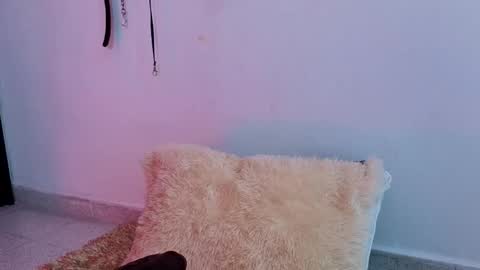 Snapshot of issafoxx chatting on April 13, 2026, 12:10 pm Issafoxx online show from April 13, 2026, 12:10 pm