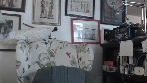 ImYourBitch online show from May 17, 2026, 5:31 pm