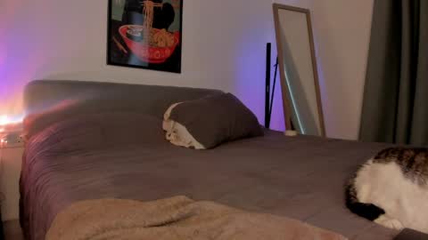 Isabella online show from April 5, 2026, 1:52 pm