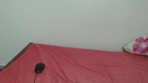 Laynne online show from November 11, 2025, 9:53 am