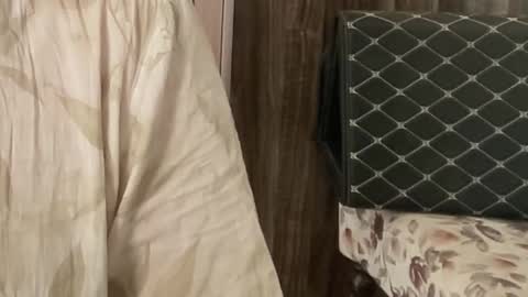 Raje online show from November 26, 2025, 7:31 am