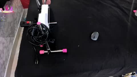 Ivis  online show from April 13, 2026, 1:16 pm