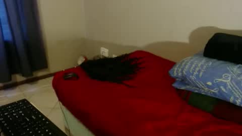 IVORYTITS48 online show from February 14, 2026, 4:31 am