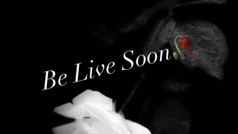 Ivy Rosie online show from December 19, 2025, 3:41 pm