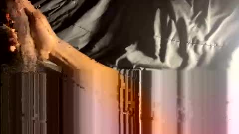 Snapshot of ixidestroyherixi chatting on January 23, 2025, 11:04 am iXTh3DeStRoYeRiX online show from January 23, 2025, 11:04 am