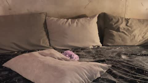 Snapshot of izi_fox chatting on February 19, 2025, 9:47 pm izi online show from February 19, 2025, 9:47 pm