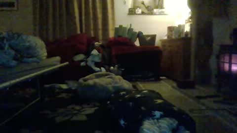 J4ckcock online show from January 1, 2025, 12:43 am