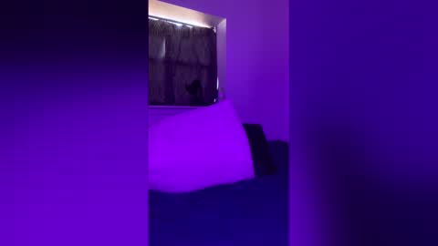 j4ckoff online show from January 17, 2026, 3:17 pm