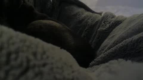 Snapshot of jackad44 chatting on October 17, 2025, 6:32 pm jackad44 online show from October 17, 2025, 6:32 pm