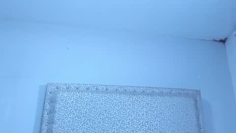 Snapshot of jackblanco_ chatting on January 25, 2025, 4:02 am Jack White online show from January 25, 2025, 4:02 am