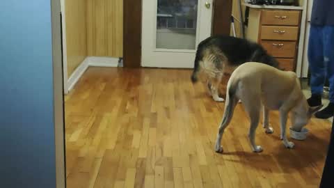 Snapshot of jacksonmale1974 chatting on January 10, 2026, 2:08 pm funtimes49203 online show from January 10, 2026, 2:08 pm