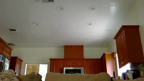 Snapshot of jacktome369 chatting on November 11, 2025, 7:58 pm jacktome369 online show from November 11, 2025, 7:58 pm