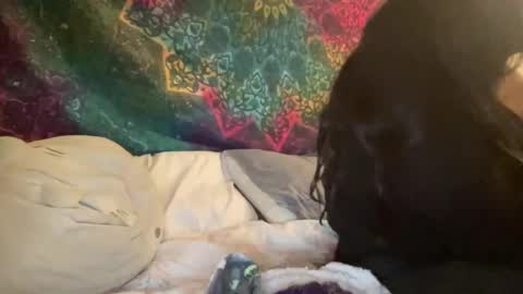 Snapshot of jadexbabe chatting on January 27, 2025, 11:54 am Jadexbabe online show from January 27, 2025, 11:54 am