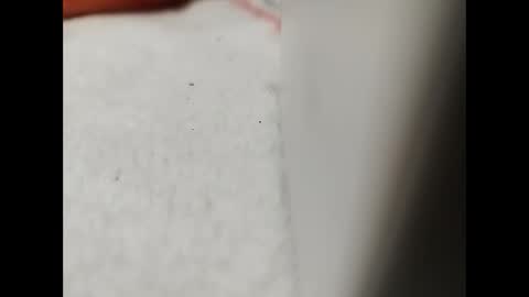 Snapshot of jaimescook chatting on January 26, 2025, 1:15 pm james online show from January 26, 2025, 1:15 pm